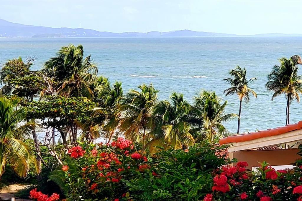 Portobello Palmanova, Palmas Del Mar, Humacao, Pr Екстер'єр фото